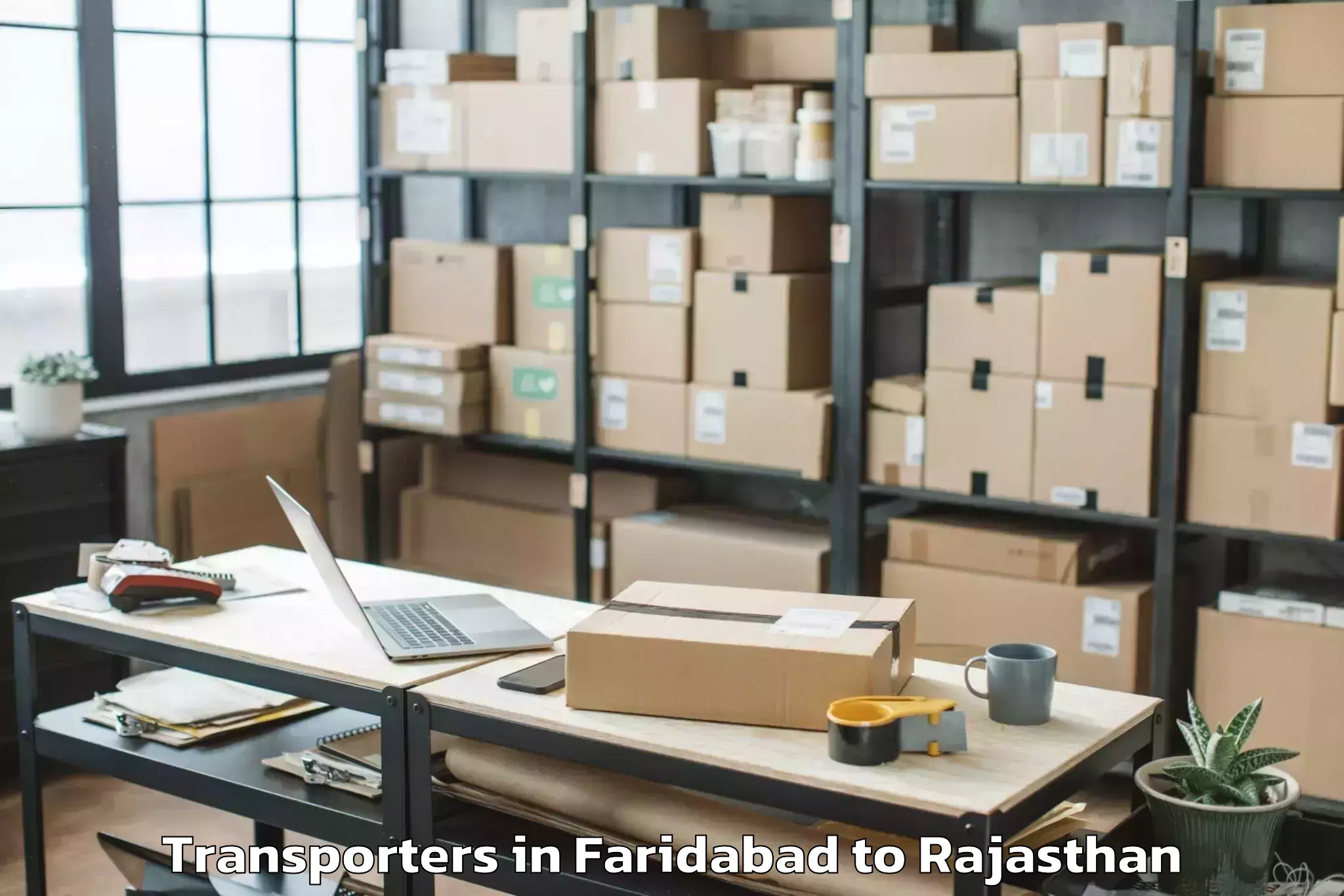 Book Faridabad to Amet Transporters Online